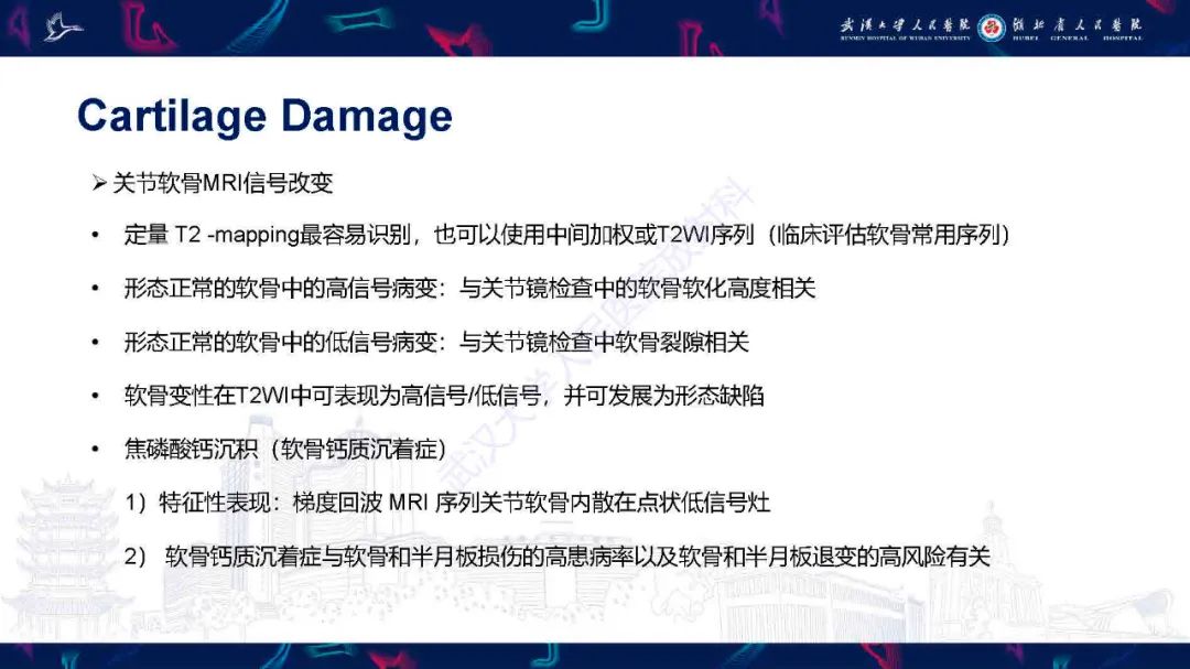 影像PPT - 【PPT】关节软骨损伤MRI诊断-20