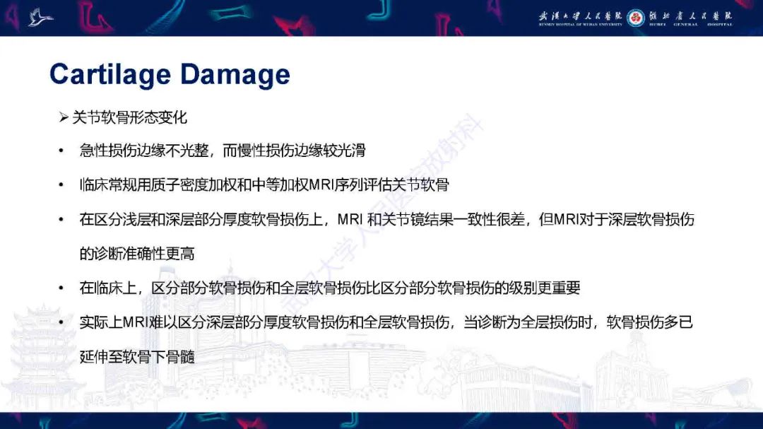 影像PPT - 【PPT】关节软骨损伤MRI诊断-24