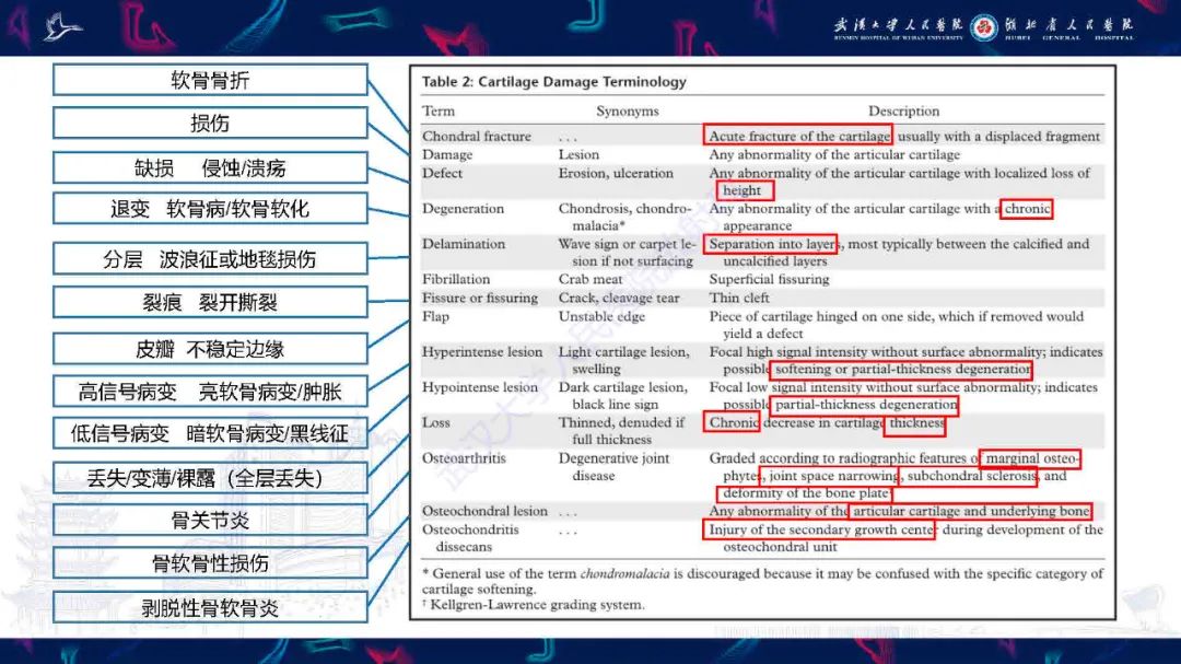 影像PPT - 【PPT】关节软骨损伤MRI诊断-25