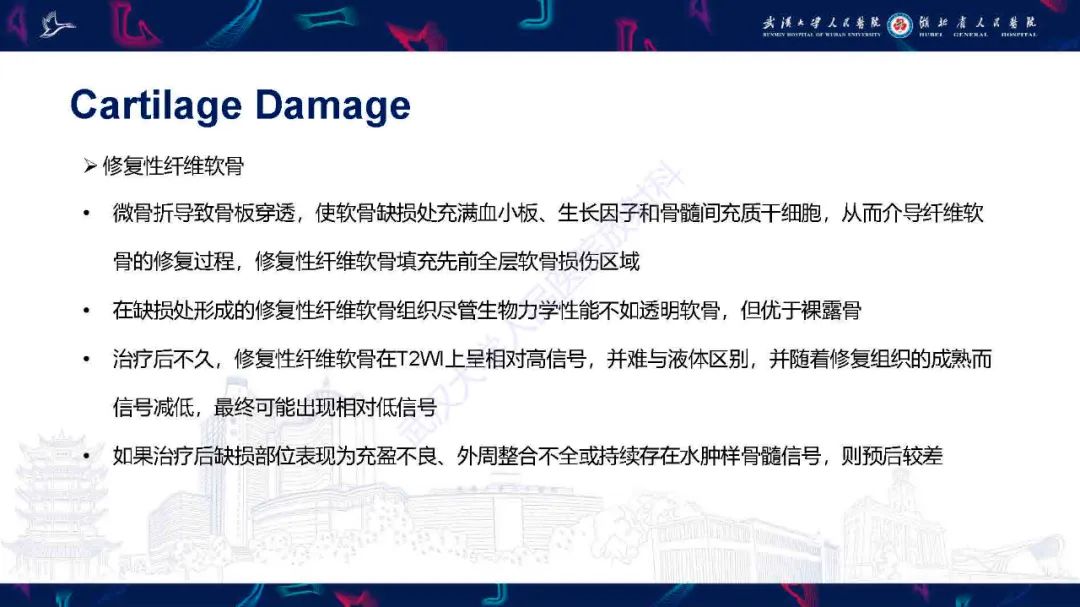 影像PPT - 【PPT】关节软骨损伤MRI诊断-29
