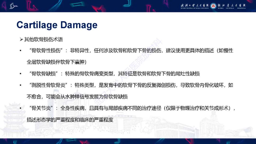 影像PPT - 【PPT】关节软骨损伤MRI诊断-31