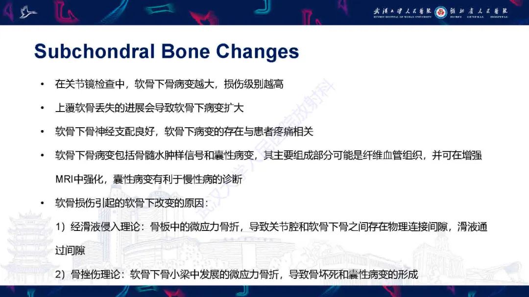 影像PPT - 【PPT】关节软骨损伤MRI诊断-32