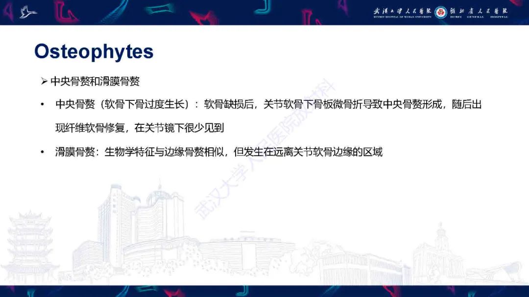 影像PPT - 【PPT】关节软骨损伤MRI诊断-37