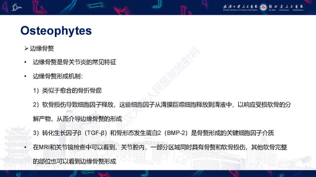 影像PPT - 【PPT】关节软骨损伤MRI诊断-35