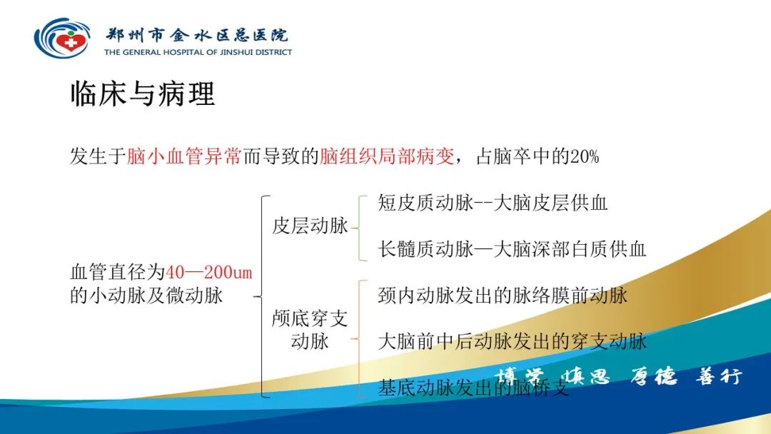 影像PPT - 【PPT】脑小血管病的影像诊断及鉴别诊断-2