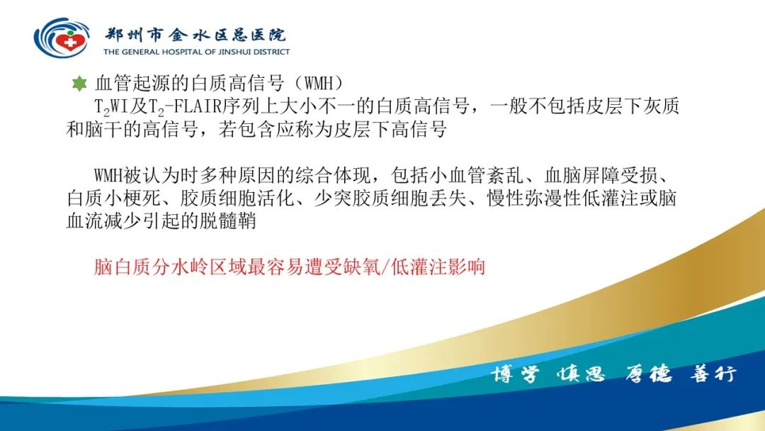 影像PPT - 【PPT】脑小血管病的影像诊断及鉴别诊断-13