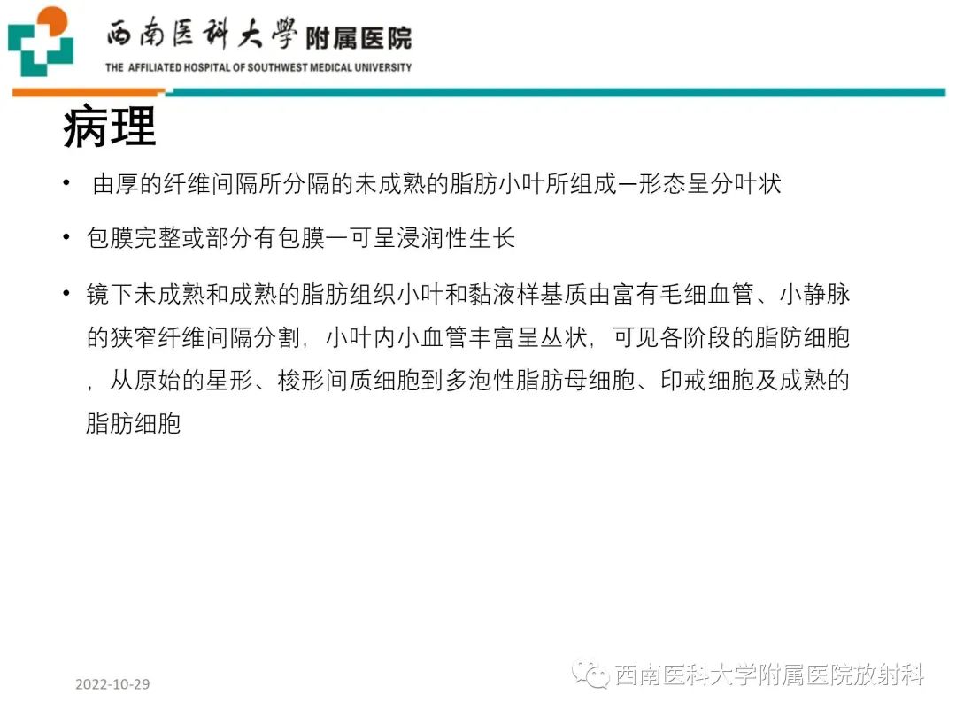 影像PPT - 【病例】大腿脂肪母细胞瘤1例MR影像诊断-6