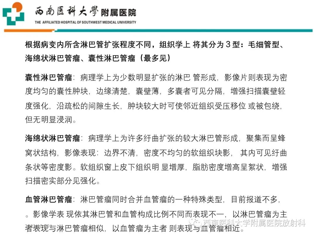 影像PPT - 【病例】大腿脂肪母细胞瘤1例MR影像诊断-17