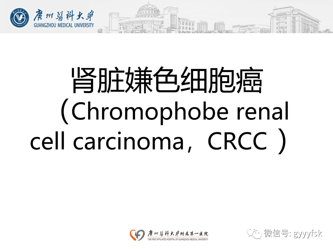 影像PPT - 【PPT】肾脏嫌色细胞癌-13