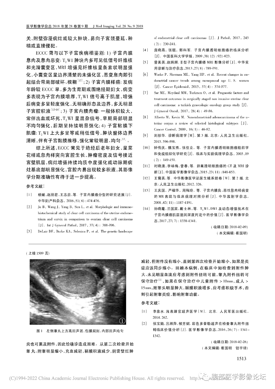 影像PPT - 【病例】子宫内膜透明细胞癌1例MR-37