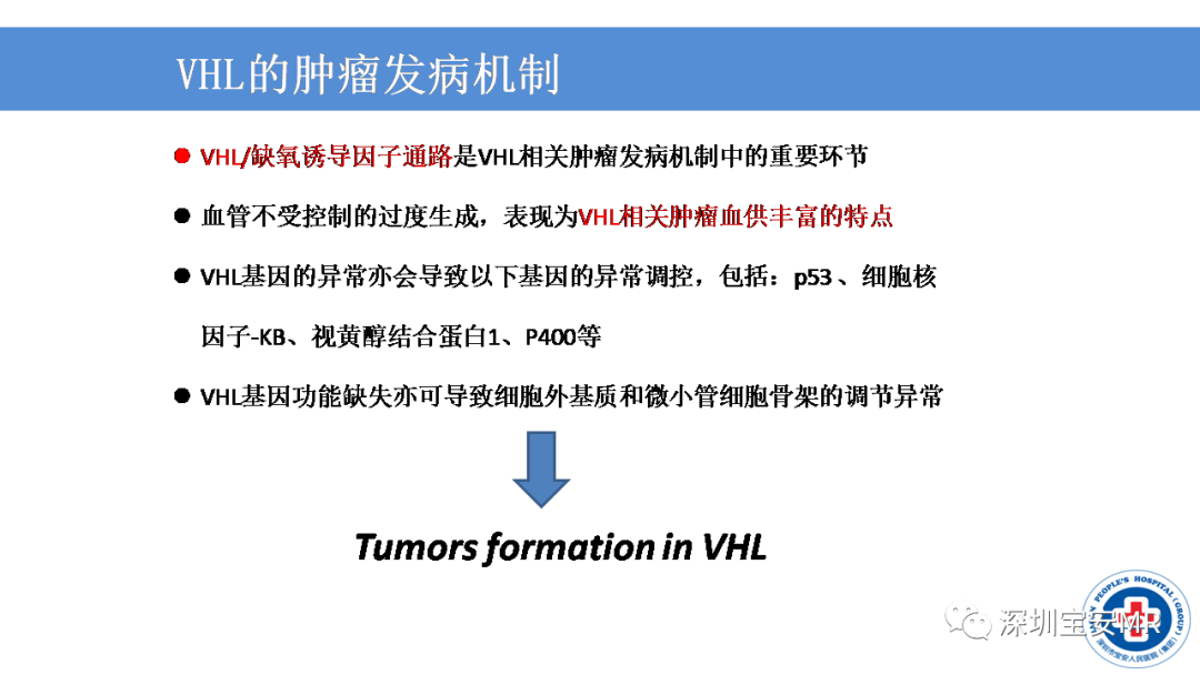 影像PPT - 【PPT】VHL综合症及相关肿瘤-6