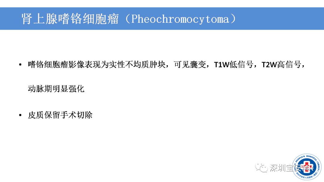 影像PPT - 【PPT】VHL综合症及相关肿瘤-36