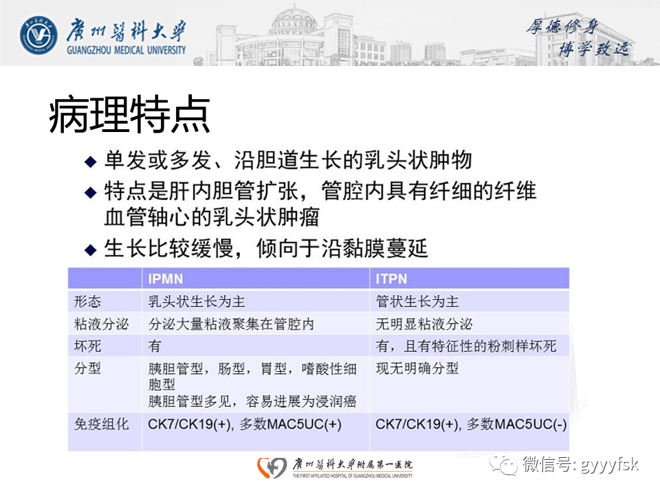 影像PPT - 【PPT】胆管导管内乳头状肿瘤(IPNB)-14