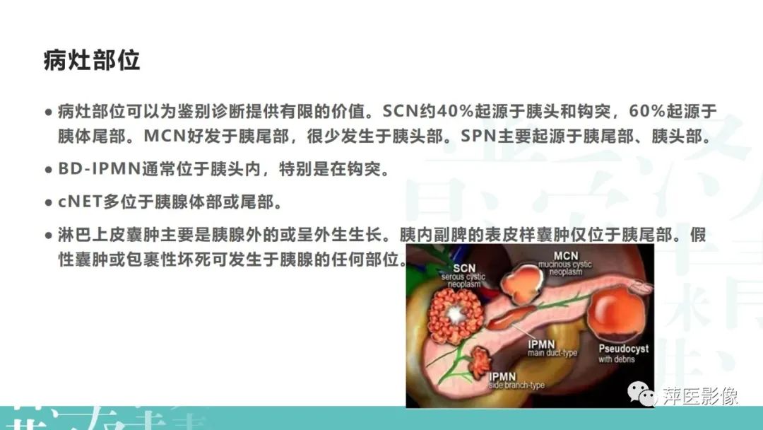 影像PPT - 【PPT】胰腺囊性肿瘤中的“老爷子”（IPMN）及诊断思路-21