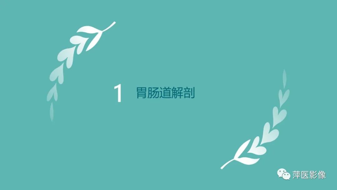 影像PPT - 【PPT】肠梗阻读片之小肠篇-3