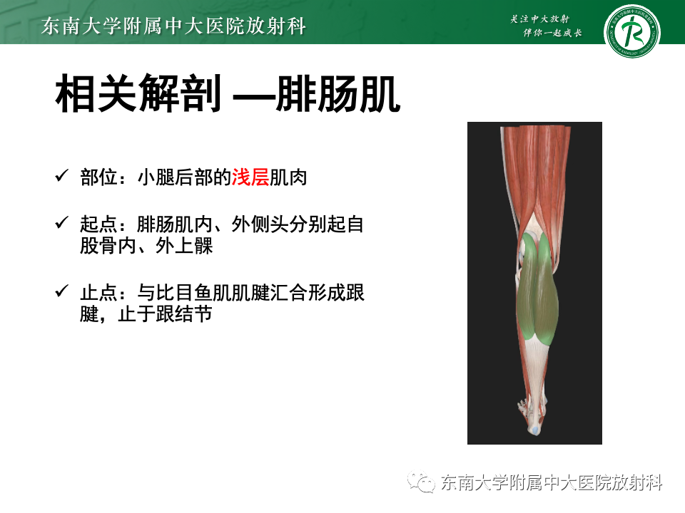 影像PPT - 【PPT】网球腿-6