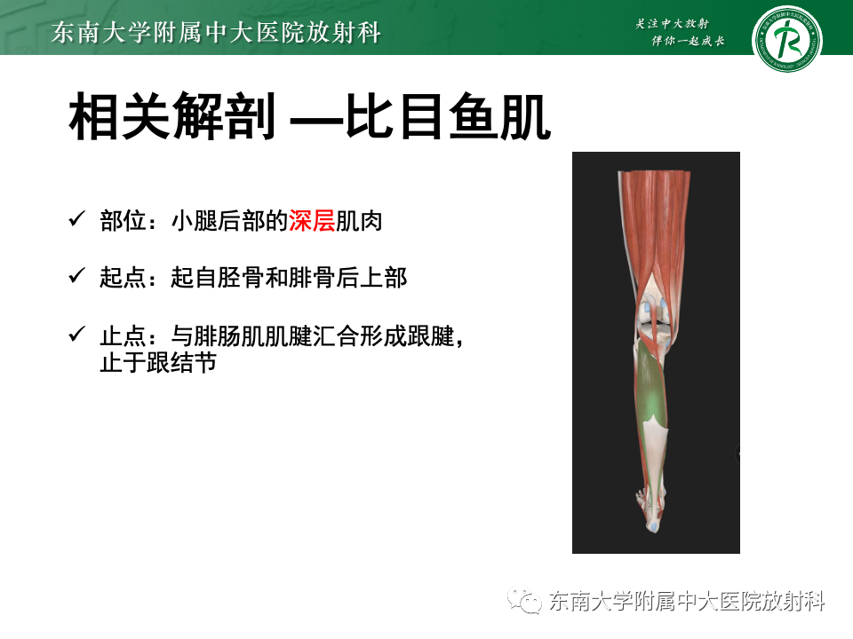 影像PPT - 【PPT】网球腿-7
