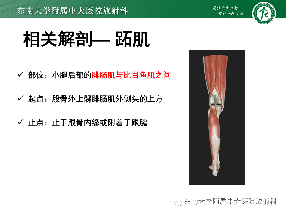 影像PPT - 【PPT】网球腿-8