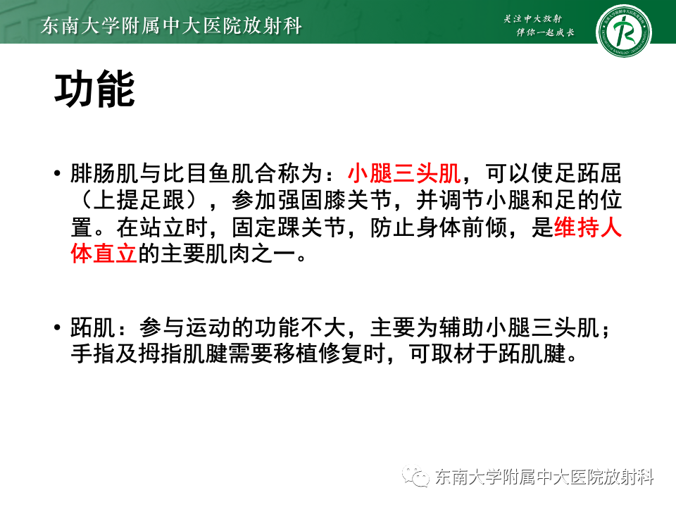 影像PPT - 【PPT】网球腿-10