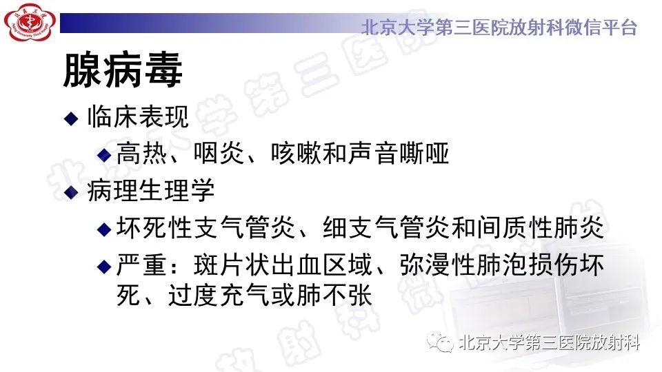 影像PPT - 【PPT】病毒性肺炎-27