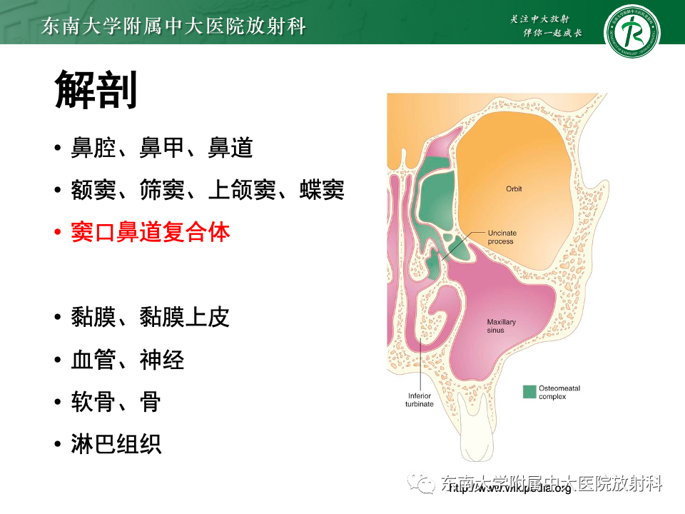 影像PPT - 【PPT】真菌性鼻窦炎-5