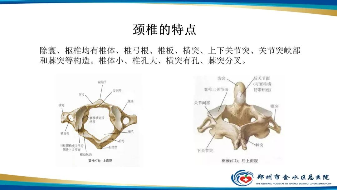 影像PPT - 【PPT】颈椎拍片技术与临床意义-4