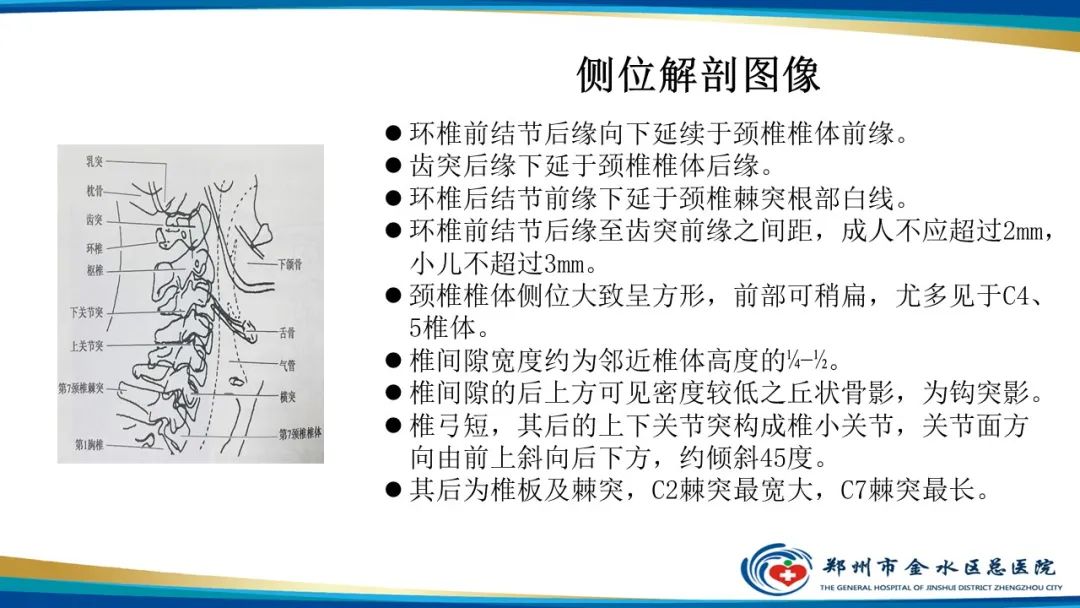 影像PPT - 【PPT】颈椎拍片技术与临床意义-17
