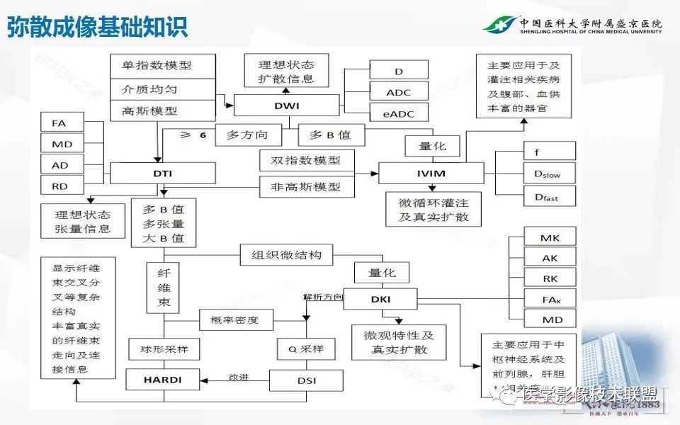 影像PPT - 【PPT】磁共振弥散成像的原理及应用-10