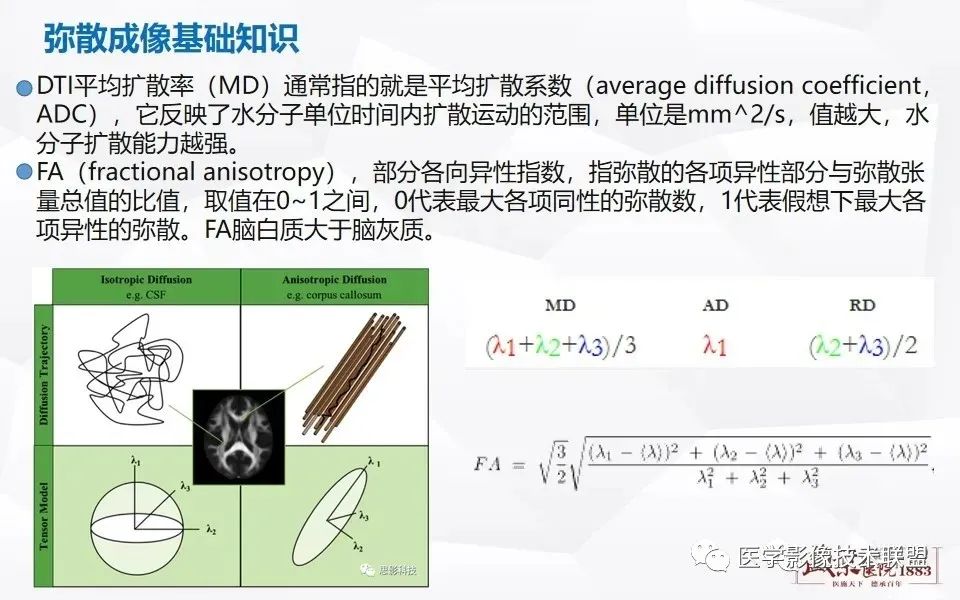 影像PPT - 【PPT】磁共振弥散成像的原理及应用-12