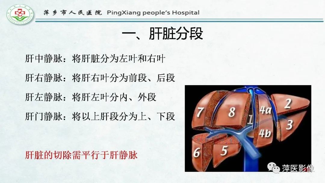 影像PPT - 【PPT】HCC影像诊断思路-3