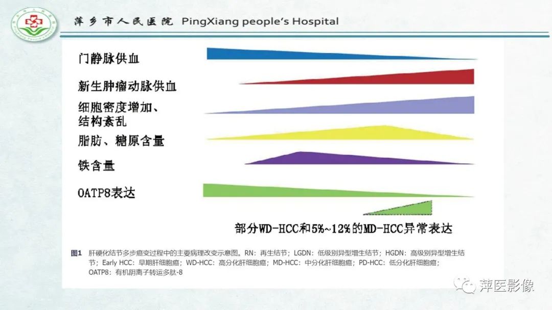 影像PPT - 【PPT】HCC影像诊断思路-19