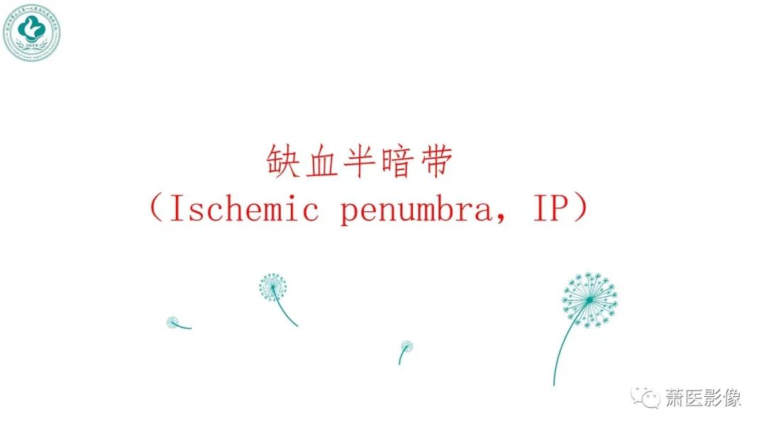 影像PPT - 【PPT】脑灌注成像原理及在临床中的应用-23