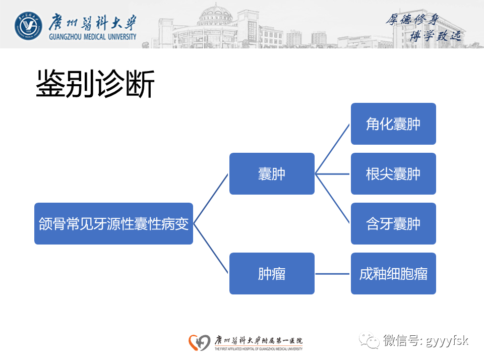影像PPT - 【病例】成釉细胞瘤 VS 牙源性囊肿-15