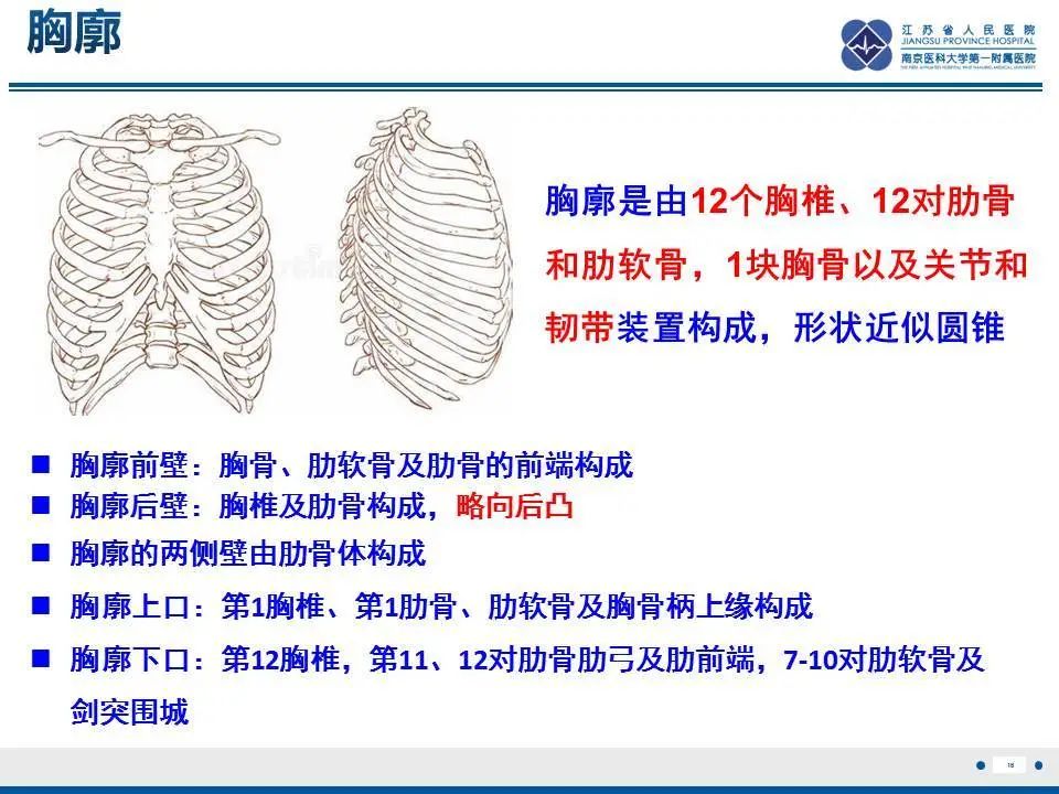 影像PPT - 【PPT】直背综合征-17