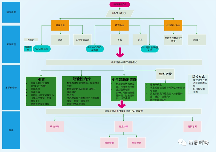 影像PPT - 机化性肺炎的诊断流程(临床-影像-病理特征相关性)-2 影像PPT - 机化性肺炎的诊断流程(临床-影像-病理特征相关性)-2
