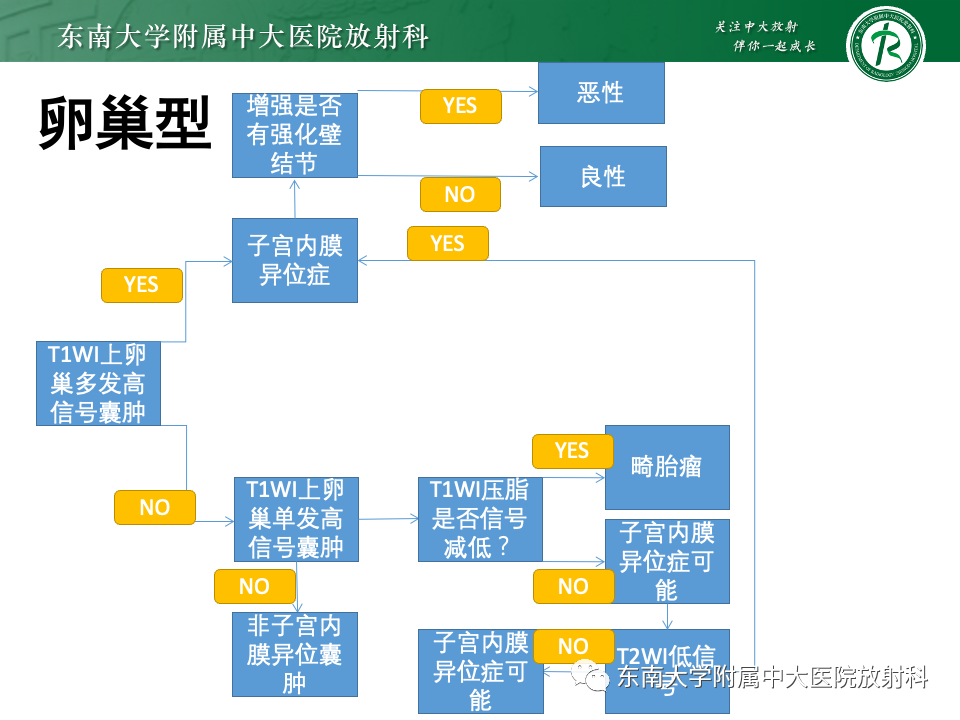影像PPT - 【PPT】子宫内膜异位症-16