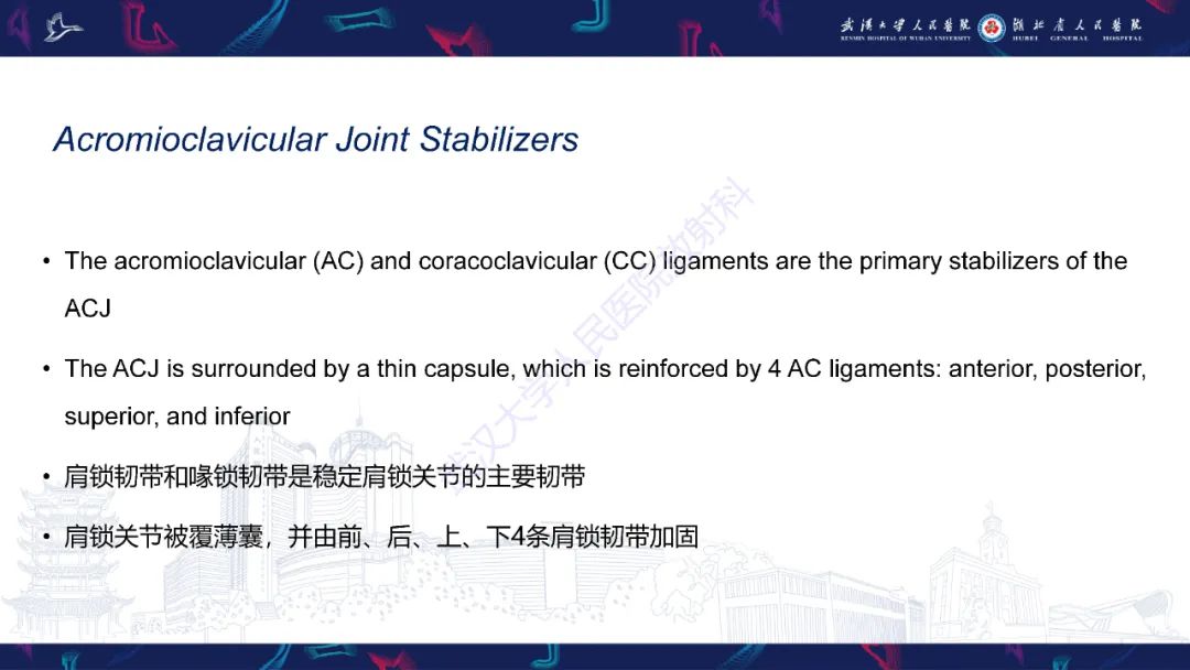 影像PPT - 【PPT】肩锁关节病变影像诊断-5