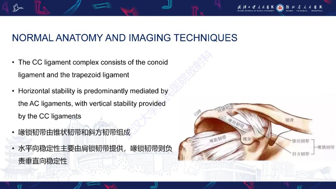影像PPT - 【PPT】肩锁关节病变影像诊断-6