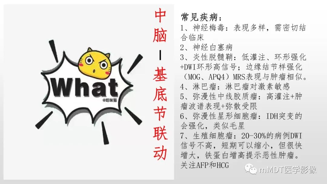 影像PPT - 【PPT】神经白塞病NBD-12