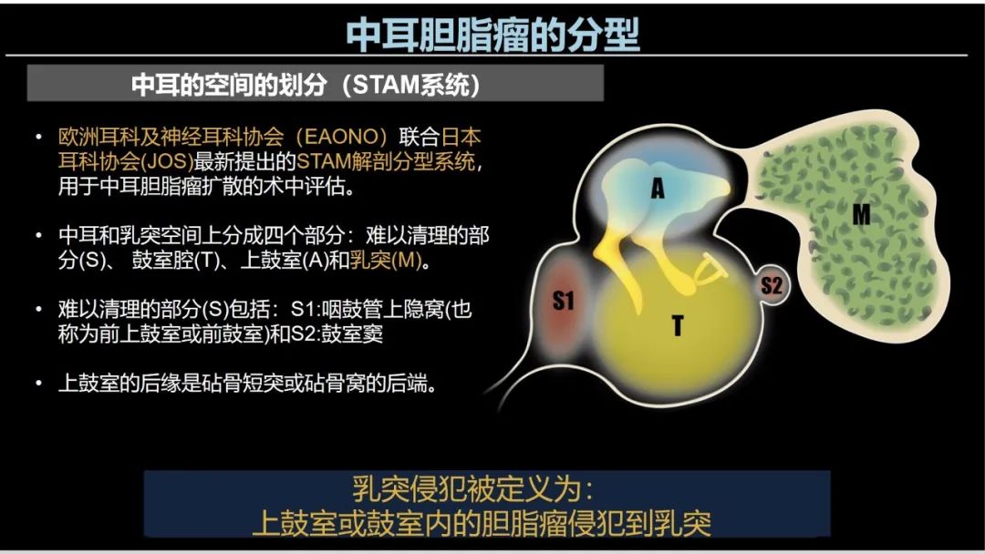 影像PPT - 【PPT】影像学方法术前预测中耳胆脂瘤的乳突侵犯-10