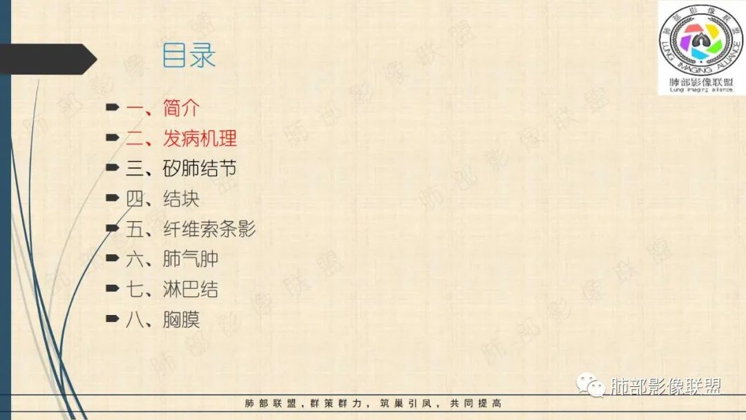 影像PPT - 【PPT】矽肺CT特点-2 影像PPT - 【PPT】矽肺CT特点-2