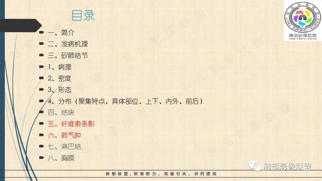 影像PPT - 【PPT】矽肺CT特点-41 影像PPT - 【PPT】矽肺CT特点-41