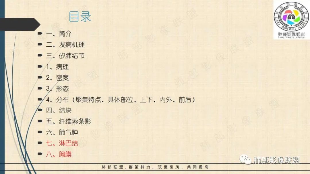 影像PPT - 【PPT】矽肺CT特点-45 影像PPT - 【PPT】矽肺CT特点-45