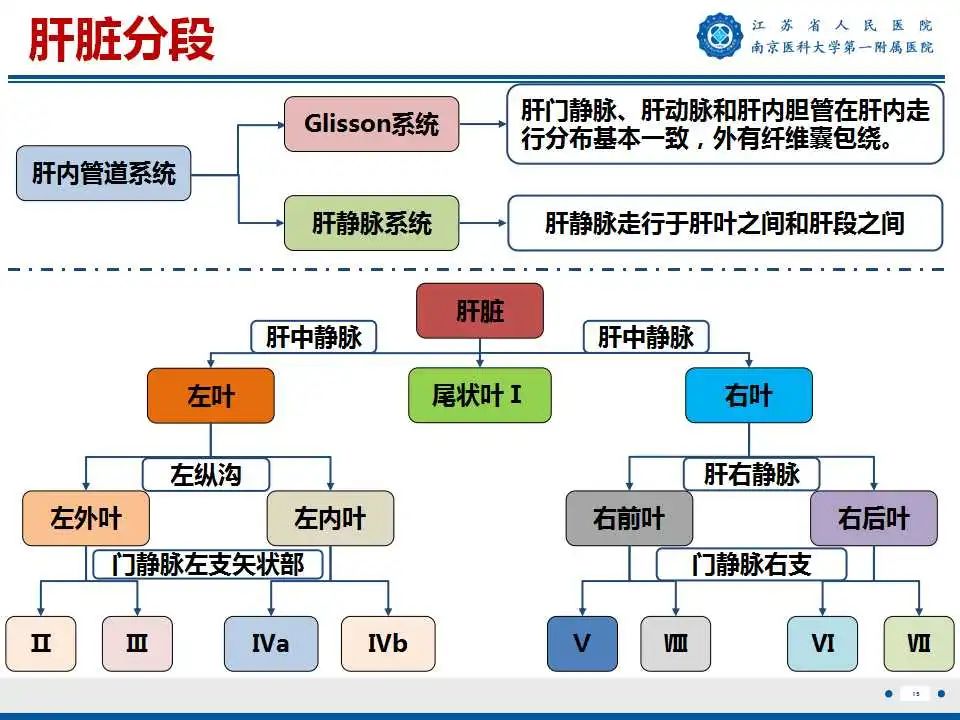 影像PPT - 【PPT】肝细胞癌—肝脏肿瘤术前MR评估-16