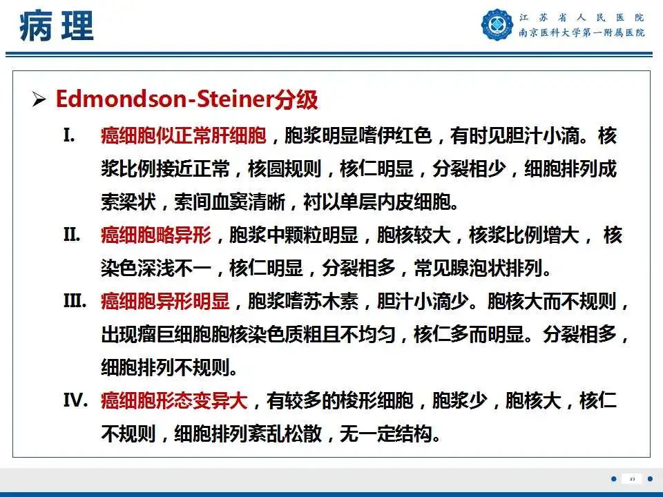 影像PPT - 【PPT】肝细胞癌—肝脏肿瘤术前MR评估-24