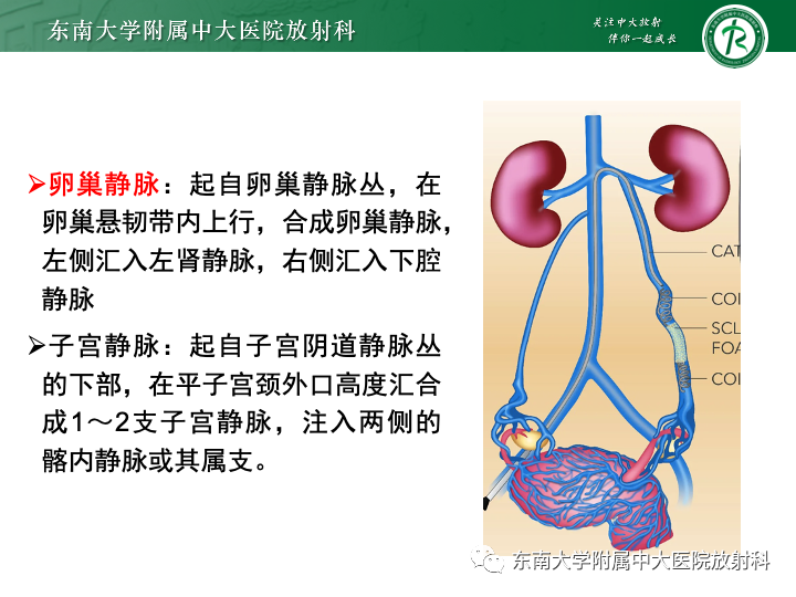 影像PPT - 【病例】附件扭转4例病例随访-21