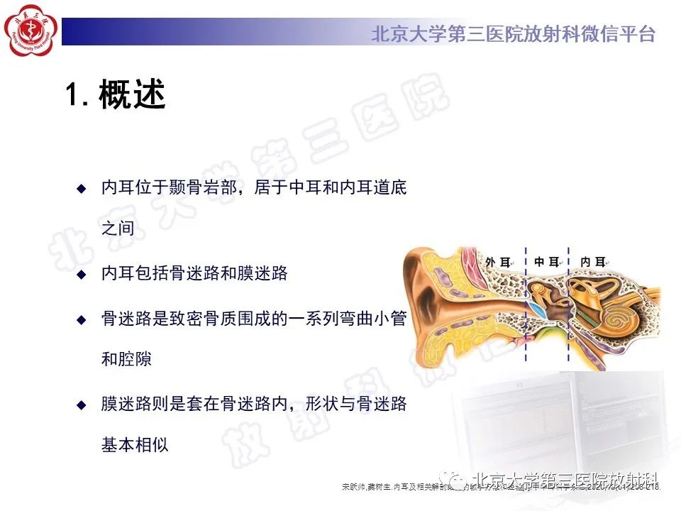 影像PPT - 【PPT】内耳发育畸形-11