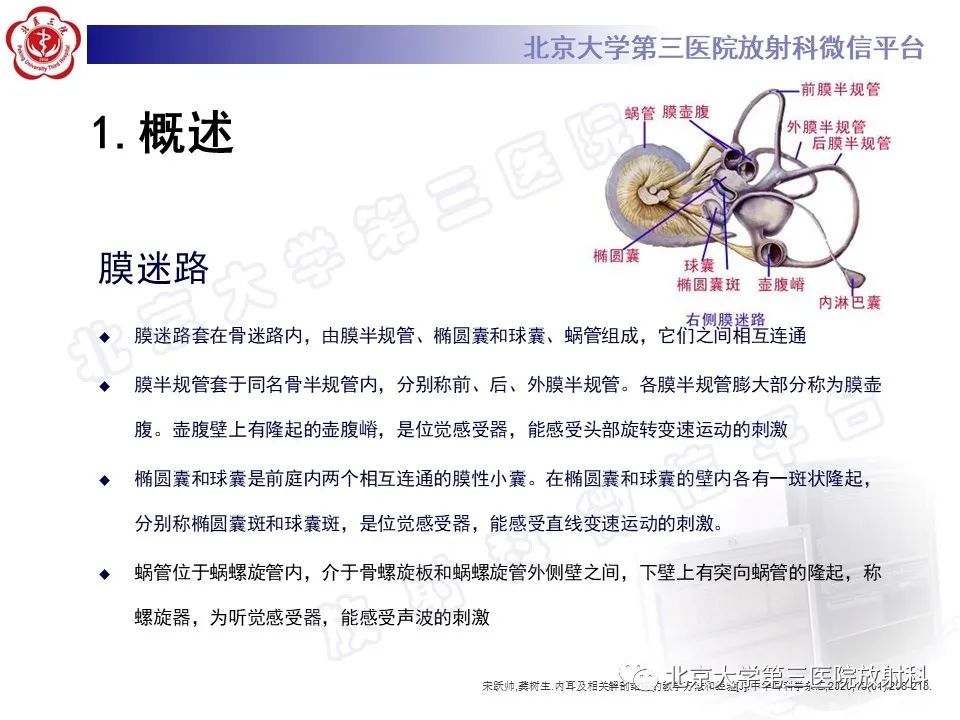 影像PPT - 【PPT】内耳发育畸形-13