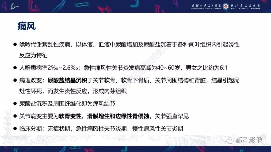 影像PPT - 【PPT】关节滑膜弥漫性增厚病变影像诊断-15
