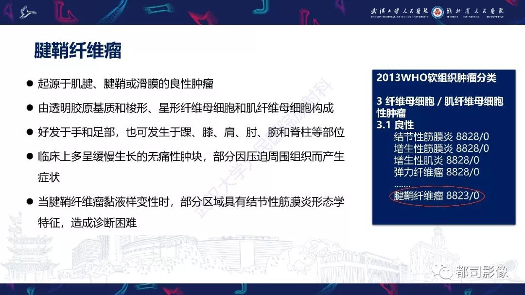 影像PPT - 【PPT】关节滑膜弥漫性增厚病变影像诊断-35